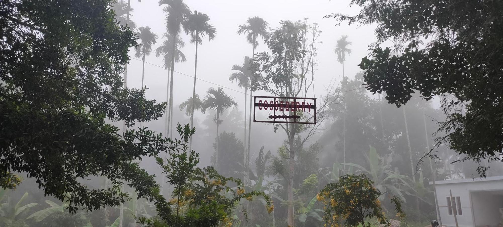 Gooseberry Family Retreats - Wayanad Hotel Meenangadi Bagian luar foto