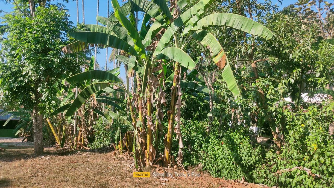 Gooseberry Family Retreats - Wayanad Hotel Meenangadi Bagian luar foto