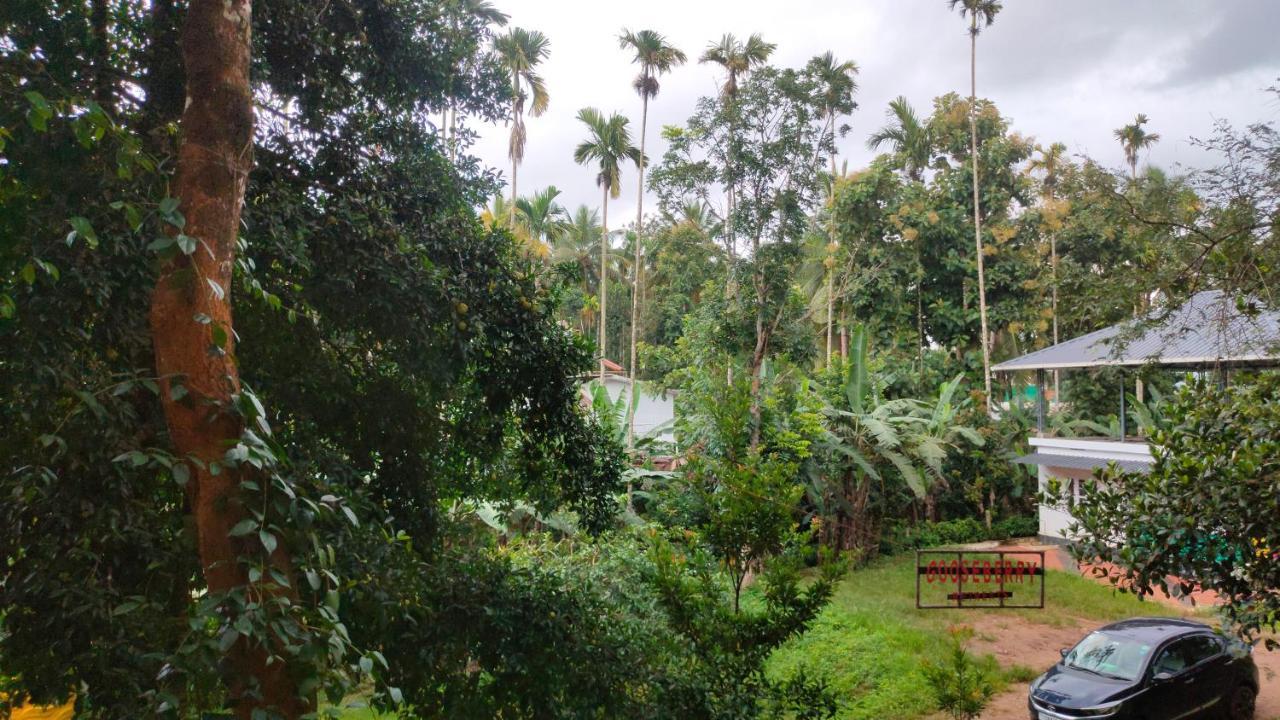 Gooseberry Family Retreats - Wayanad Hotel Meenangadi Bagian luar foto